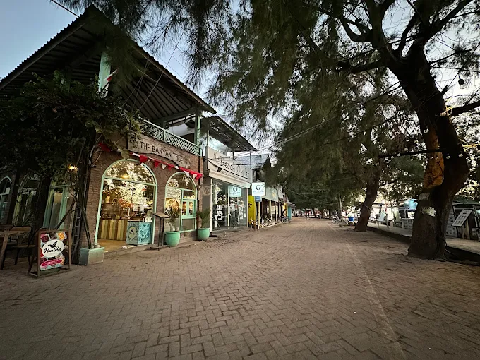 The Banyan Tree View 1